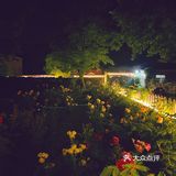 晚风悠然、跌入了花的时间。