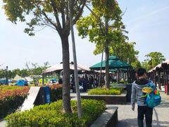 -春花秋色城市公园