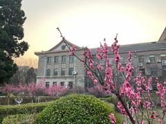 -山东师范大学(千佛山校区)
