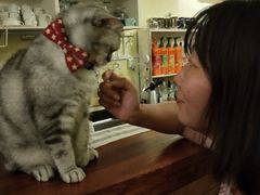 -猫色咖啡·猫咖