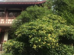 -香园自助小火锅