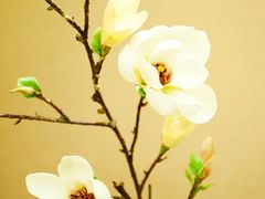 -浙江同济科技职业学院餐厅