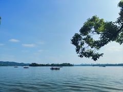 -西湖外事游船(花港观鱼码头)