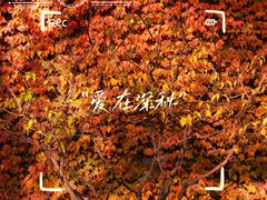 -东岸Cafe 爵士俱乐部