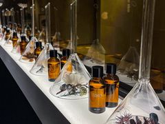 -安屿an·spa(卓悦中心商场店)