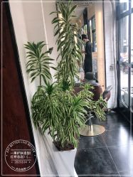 -一東造型烫发染发