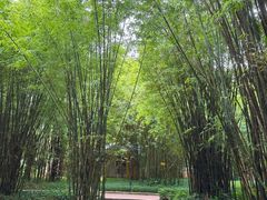-晓港公园