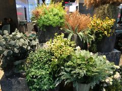 -大树餐厅(红旗街万达店)