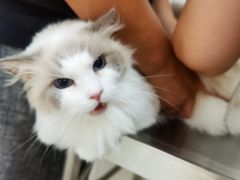 -美联众合动物医院·24h京西诊疗中心