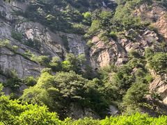 -青峰峡国家森林公园