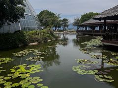 -芽庄珍珠岛游乐园