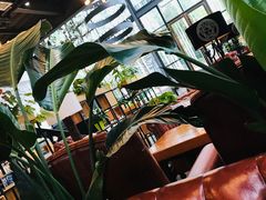 -桉树林A coffee 森林餐厅(三圣乡店)
