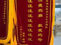 -瑞派雷欧宠物医院·24h夜诊·心脏骨科牙科·全科重症转诊中心(无影山店)
