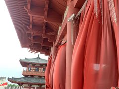 -海合安苏州阳澄半岛乐园
