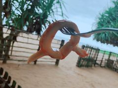 -Green Lobster Waskaduwa Seafood Restaurant