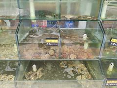 水产区-四海鲜渔家菜(黄金海岸店)