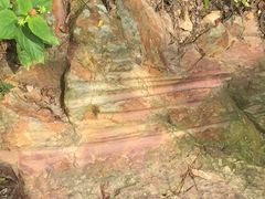 -羚羊峡古栈道森林公园