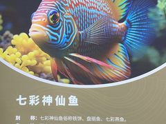 -华夏文旅海洋公园