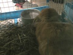-雨林宠物医院 非犬猫异宠专科