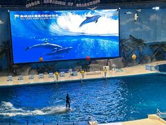 -泉城欧乐堡海洋极地世界