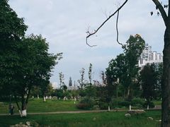 -桂溪生态公园