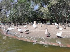 -西安秦岭野生动物园