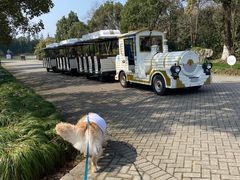 -上海海湾国家森林公园