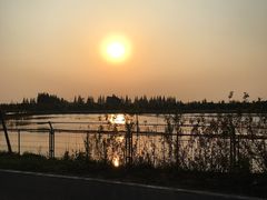 -明珠湖天鹅苑·农家菜馆