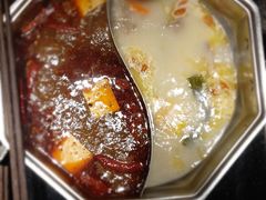 -新草堂锅物料理(泉城路店)