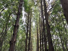 -同里国家湿地公园