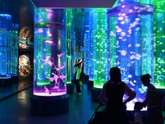 -海合安成都极地海洋公园