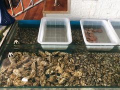 -桔子海鲜烧烤大排档(金沙滩店)