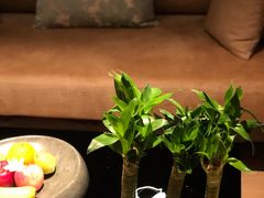 -成都尼依格罗酒店