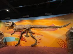 -北京科学中心儿童乐园