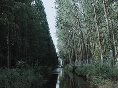 -黄海国家森林公园