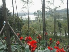 -白鹭湾湿地公园