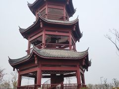-官亭林海