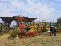 -上海长兴岛郊野公园