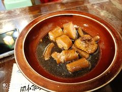 猪尾巴-金必轩(青岩店)