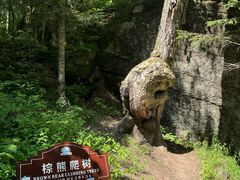 -汤旺河林海奇石景区