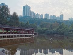 -龙头寺公园