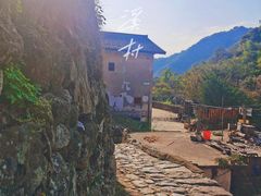 -雁南飞茶田景区