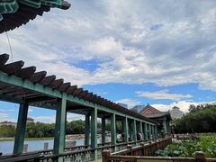 -莲花池公园