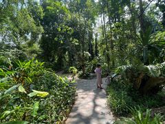 -中国科学院西双版纳热带植物园