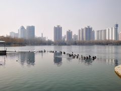 -莲花池公园