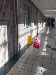 -上海交通大学医学院附属上海儿童医学中心(陆家嘴总院区)