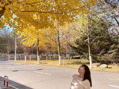 -长白岛森林公园