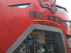 -鹏欣水游城