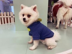 -怪兽屋·羊驼·猫咖·狗咖(俊华广场店)