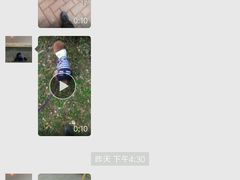 -波姐宠物家庭寄养